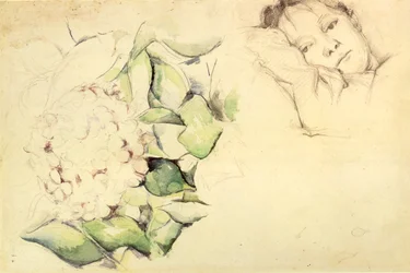 Madame Cézanne with Hydrangeas